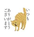 敬語のブサねこ（個別スタンプ：21）