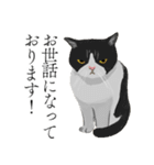 敬語のブサねこ（個別スタンプ：22）