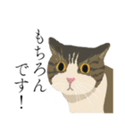 敬語のブサねこ（個別スタンプ：24）