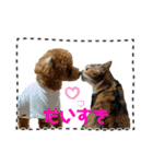 トイプーふゆと＆にゃんこモンチ（個別スタンプ：13）