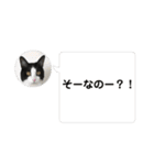 RIRI＆RON⑥（個別スタンプ：3）