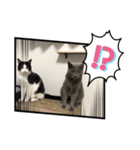 RIRI＆RON⑥（個別スタンプ：5）