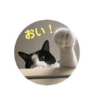 RIRI＆RON⑥（個別スタンプ：6）