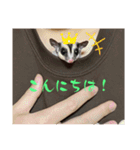 ロロの日常で使えるスタンプ（個別スタンプ：1）