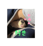 ロロの日常で使えるスタンプ（個別スタンプ：5）