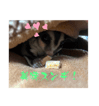 ロロの日常で使えるスタンプ（個別スタンプ：7）