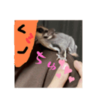 ロロの日常で使えるスタンプ（個別スタンプ：12）