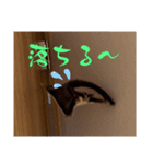 ロロの日常で使えるスタンプ（個別スタンプ：14）
