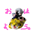 わしの土人形❤️（個別スタンプ：5）