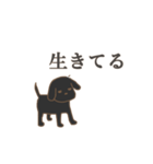 黒い犬〈鬱〉（個別スタンプ：36）