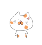 お辞儀ねこ（個別スタンプ：11）