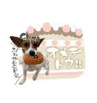 Bambi.churaさん（個別スタンプ：5）