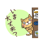 Junsの気持ちを伝えたい猫（個別スタンプ：1）