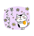 Junsの気持ちを伝えたい猫（個別スタンプ：24）