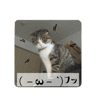 あわゆい姉妹（個別スタンプ：5）