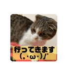 あわゆい姉妹（個別スタンプ：19）