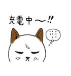 ニャン太の日々（個別スタンプ：20）