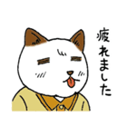 ニャン太の日々（個別スタンプ：34）