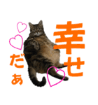 ぽちゃ猫アリスwithふうた（個別スタンプ：6）