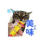 ぽちゃ猫アリスwithふうた（個別スタンプ：11）