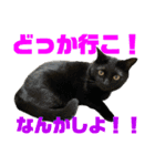 ぽちゃ猫アリスwithふうた（個別スタンプ：16）