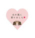 レイキはじめますwith波動にゃんこ（個別スタンプ：3）