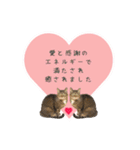レイキはじめますwith波動にゃんこ（個別スタンプ：4）