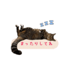 レイキはじめますwith波動にゃんこ（個別スタンプ：6）
