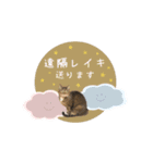 レイキはじめますwith波動にゃんこ（個別スタンプ：15）