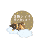 レイキはじめますwith波動にゃんこ（個別スタンプ：16）