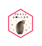 レイキはじめますwith波動にゃんこ（個別スタンプ：17）