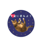 レイキはじめますwith波動にゃんこ（個別スタンプ：18）