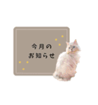 レイキはじめますwith波動にゃんこ（個別スタンプ：23）