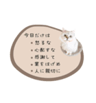 レイキはじめますwith波動にゃんこ（個別スタンプ：24）