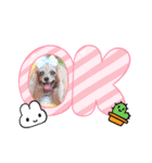 ハッチ❤️イチ（個別スタンプ：16）