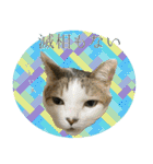 My cats Gabo and Gov4【修正版】（個別スタンプ：4）
