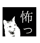 My cats Gabo and Gov4【修正版】（個別スタンプ：9）