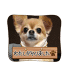 ウチの子がいちばん（個別スタンプ：4）