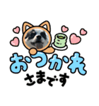 ウチの子がいちばん（個別スタンプ：5）