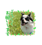 ウチの子がいちばん（個別スタンプ：9）