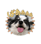 ウチの子がいちばん（個別スタンプ：10）