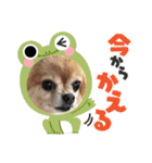 ウチの子がいちばん（個別スタンプ：23）