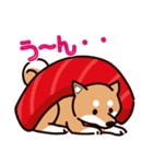 fun柴犬☆寿司しば（個別スタンプ：6）