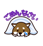 fun柴犬☆寿司しば（個別スタンプ：13）