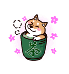 fun柴犬☆寿司しば（個別スタンプ：32）