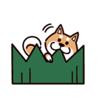 fun柴犬☆寿司しば（個別スタンプ：33）