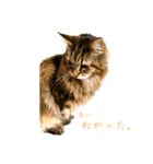 ジャッキーは女王さま（個別スタンプ：8）