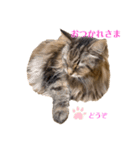 ジャッキーは女王さま（個別スタンプ：16）