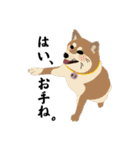 はらぺこ犬チミー（個別スタンプ：1）