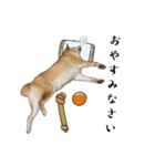はらぺこ犬チミー（個別スタンプ：4）